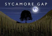 Load image into Gallery viewer, Sycamore Gap (Night) Art Print