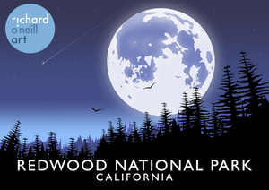 Redwood National Park Art Print