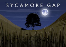 Load image into Gallery viewer, Sycamore Gap (Night) Art Print
