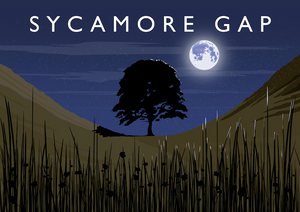 Sycamore Gap Art Print (Night)