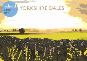 Yorkshire Dales Art Print